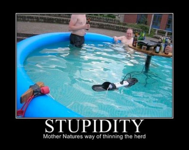 Stupidity-Mother-Natures-Way-Of-Thinning-The-Herd-Funny-Picture
